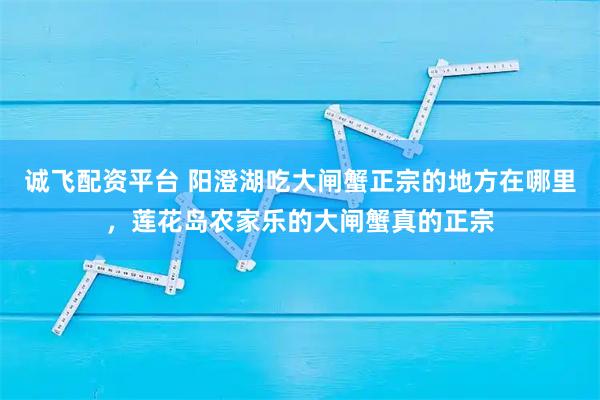 诚飞配资平台 阳澄湖吃大闸蟹正宗的地方在哪里，莲花岛农家乐的大闸蟹真的正宗